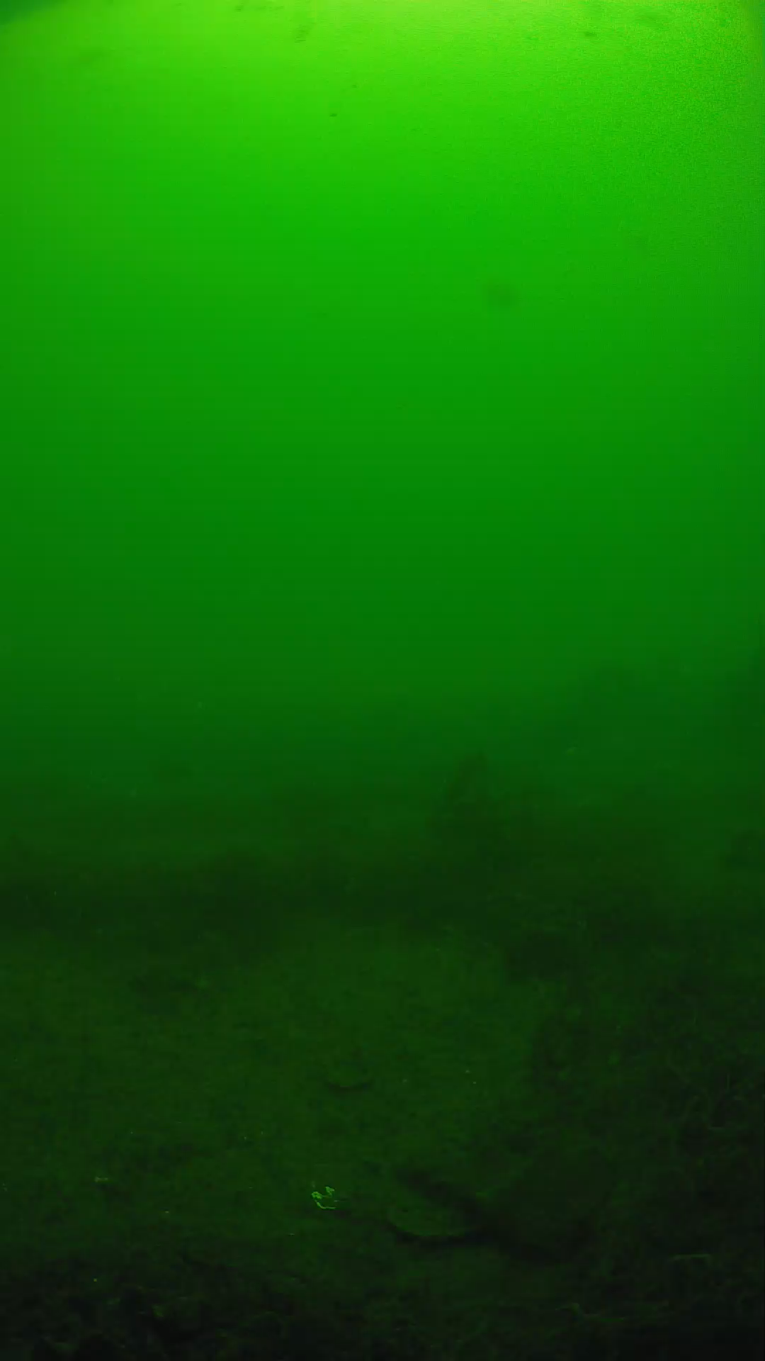 lander_ipcam_20250605101608.png