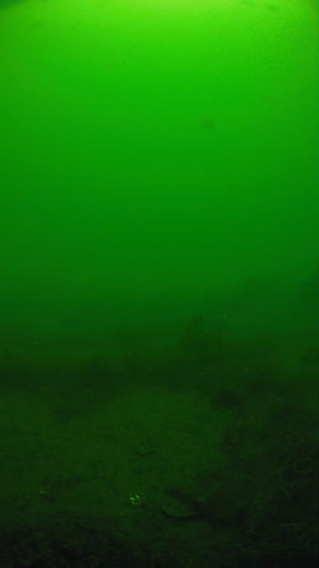 lander_ipcam_20250605101609.png