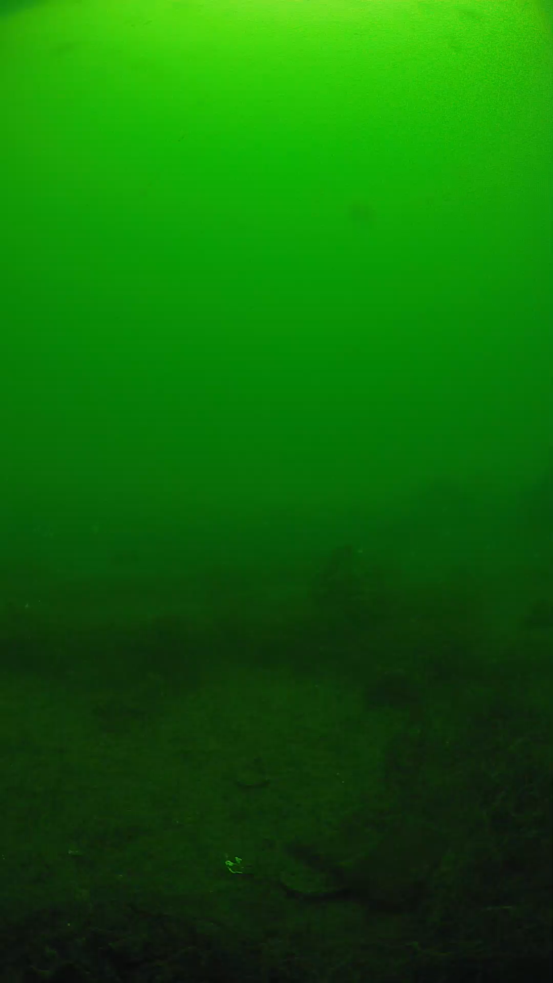 lander_ipcam_20250605101610.png