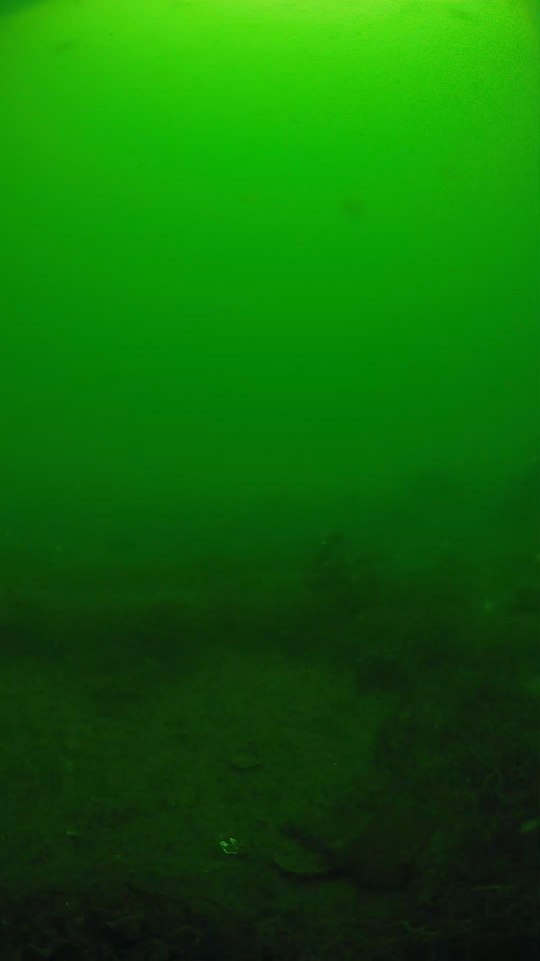 lander_ipcam_20250605101611.png