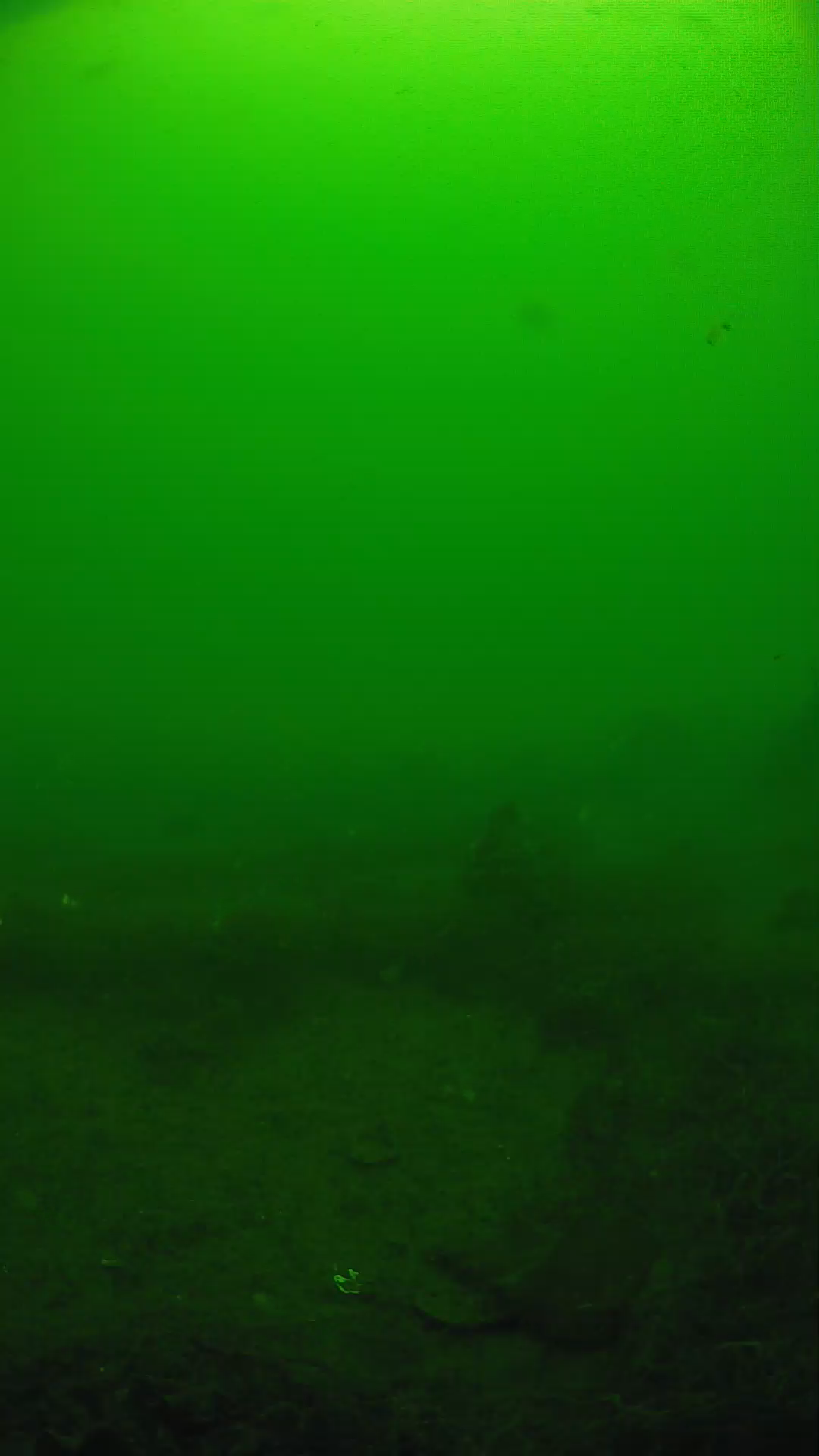 lander_ipcam_20250605101615.png