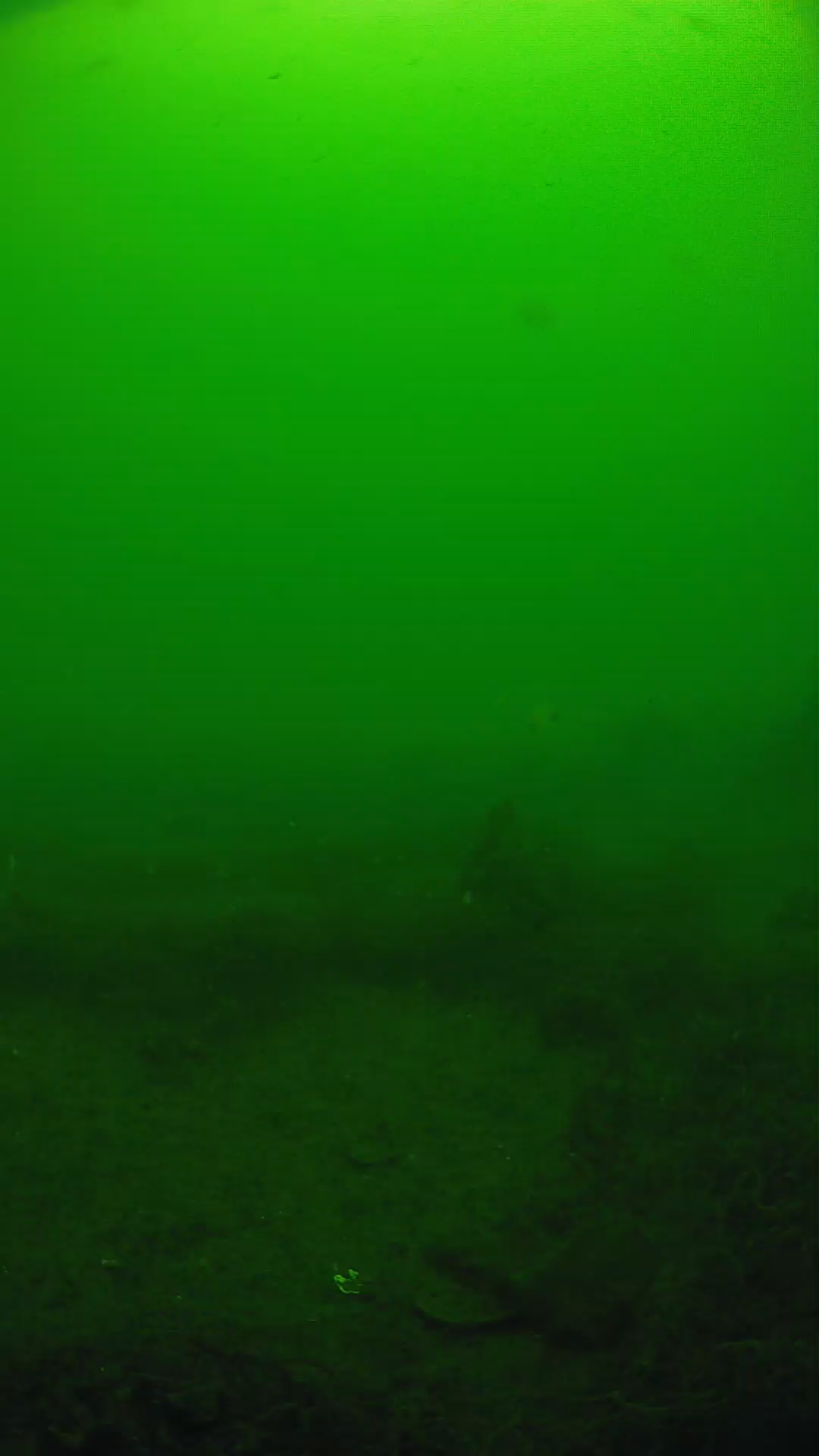 lander_ipcam_20250605101620.png