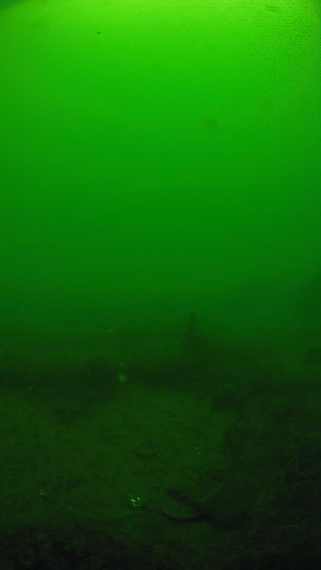 lander_ipcam_20250605101624.png