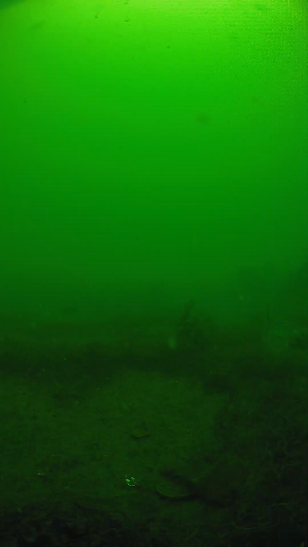 lander_ipcam_20250605101631.png