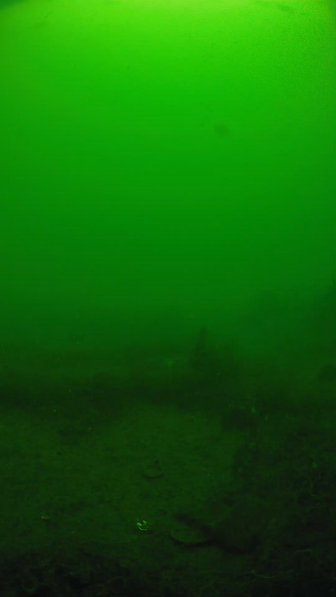 lander_ipcam_20250605101634.png