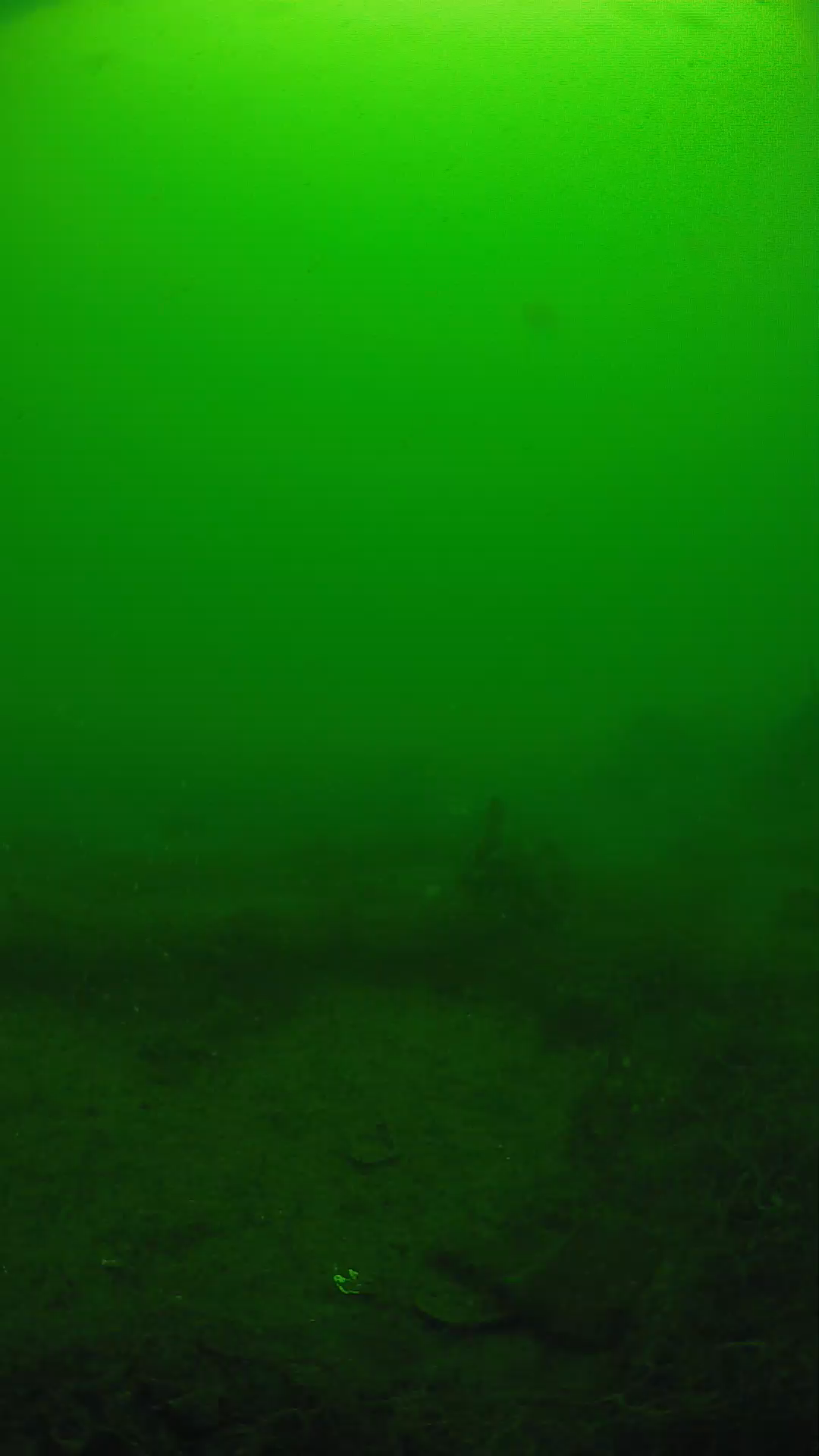 lander_ipcam_20250605101635.png