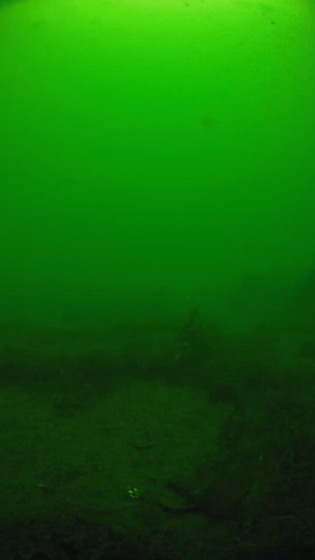 lander_ipcam_20250605101637.png