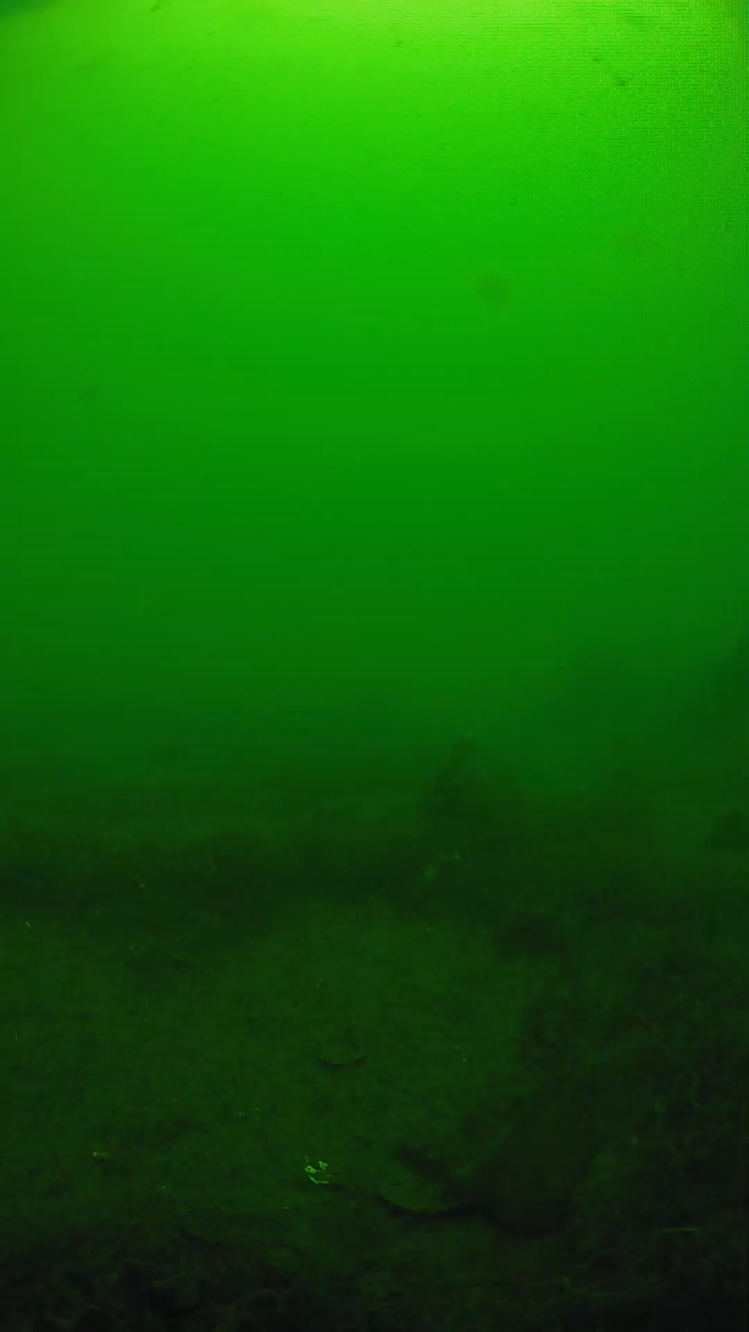 lander_ipcam_20250605101638.png