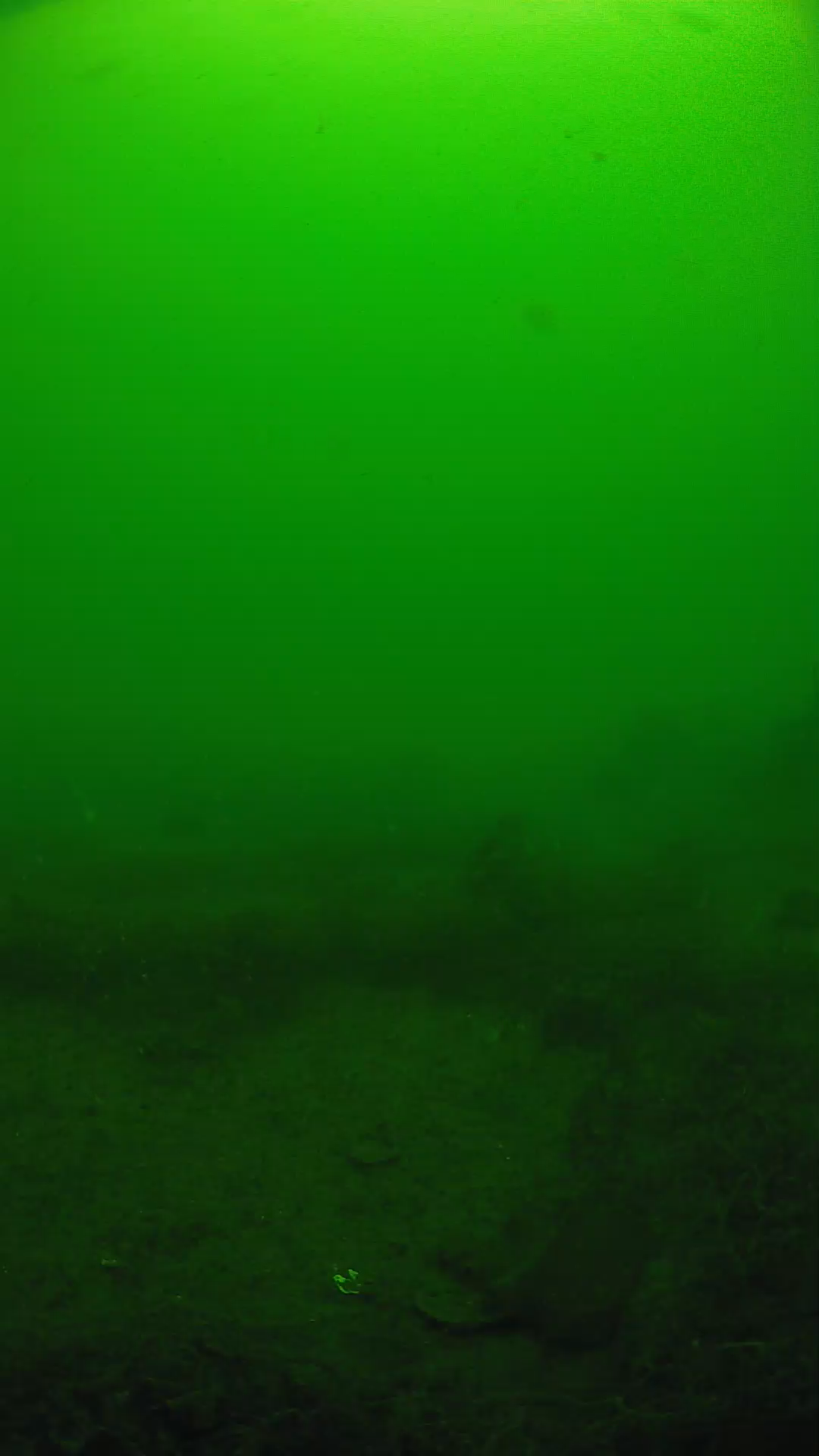 lander_ipcam_20250605101640.png