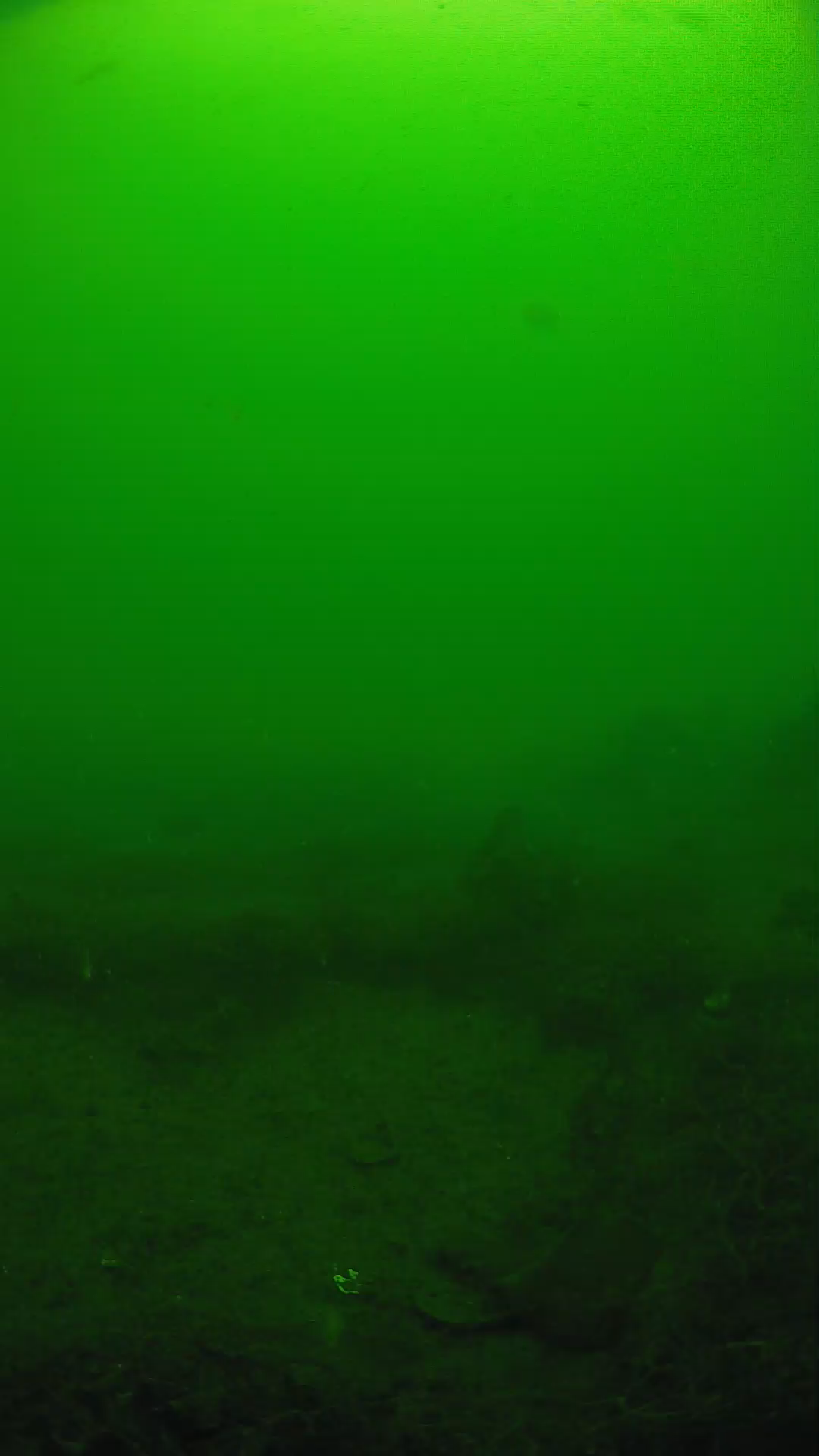 lander_ipcam_20250605101645.png