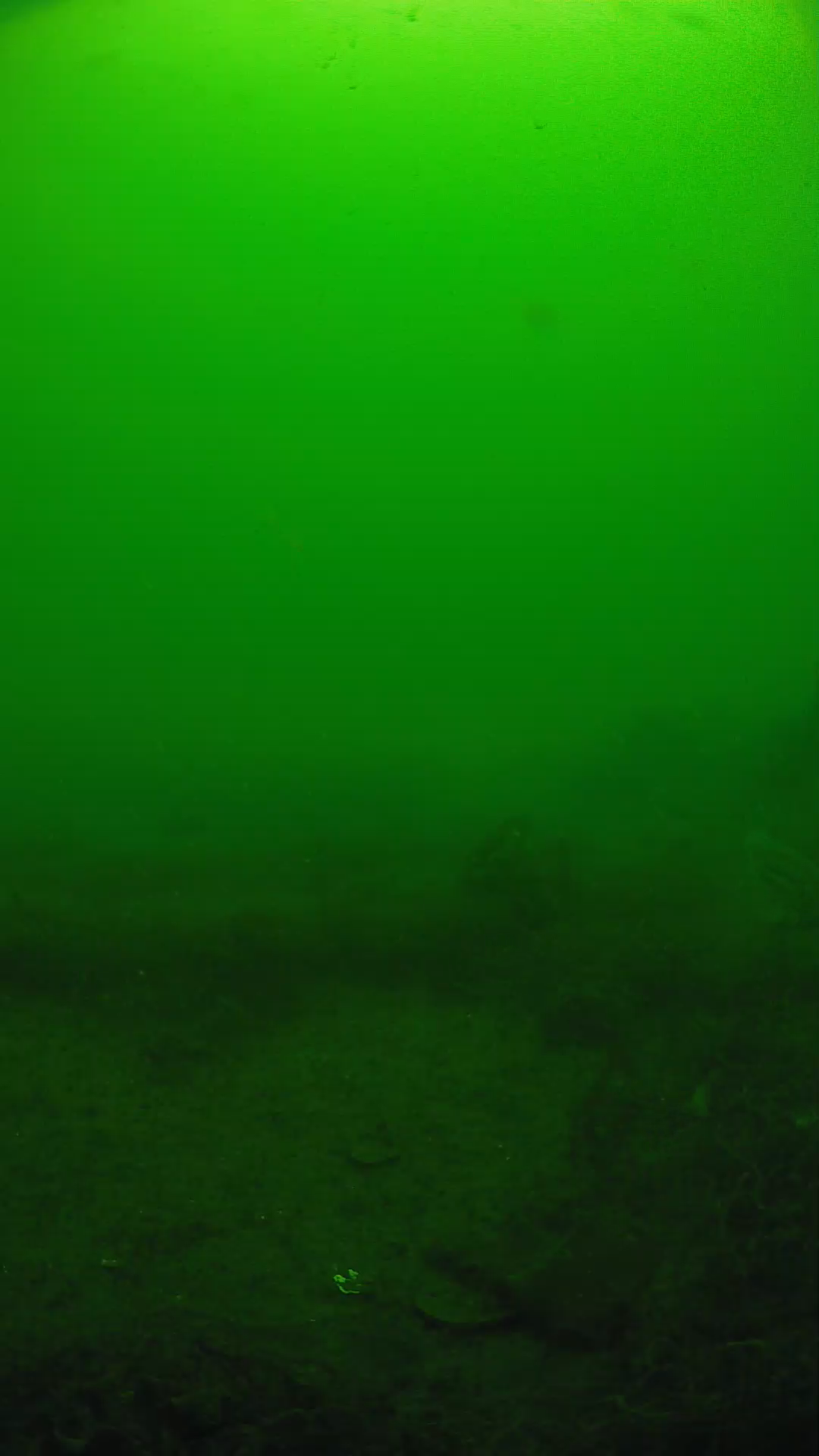 lander_ipcam_20250605101648.png
