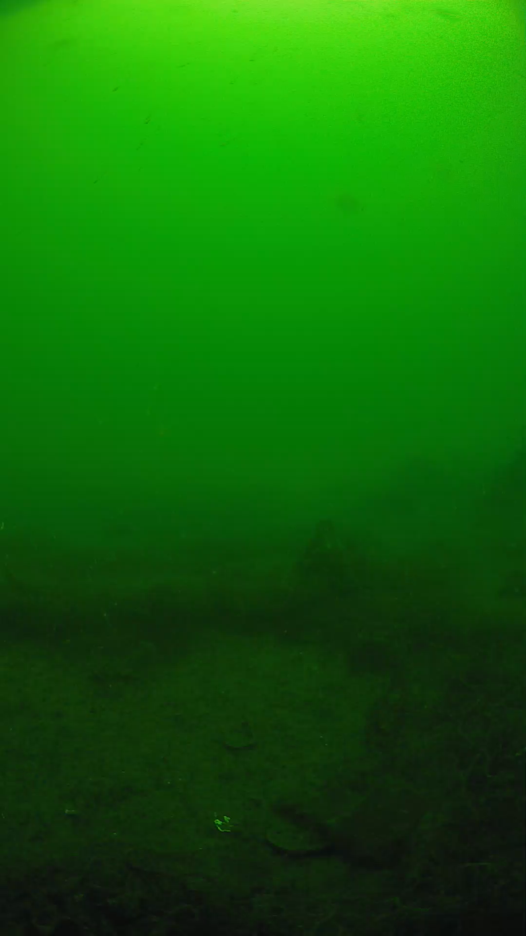 lander_ipcam_20250605101652.png