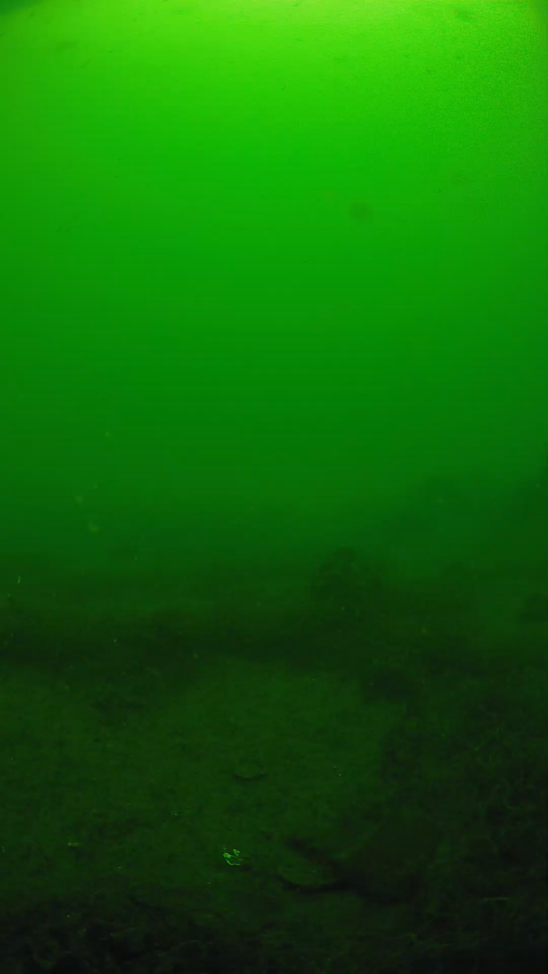 lander_ipcam_20250605101657.png