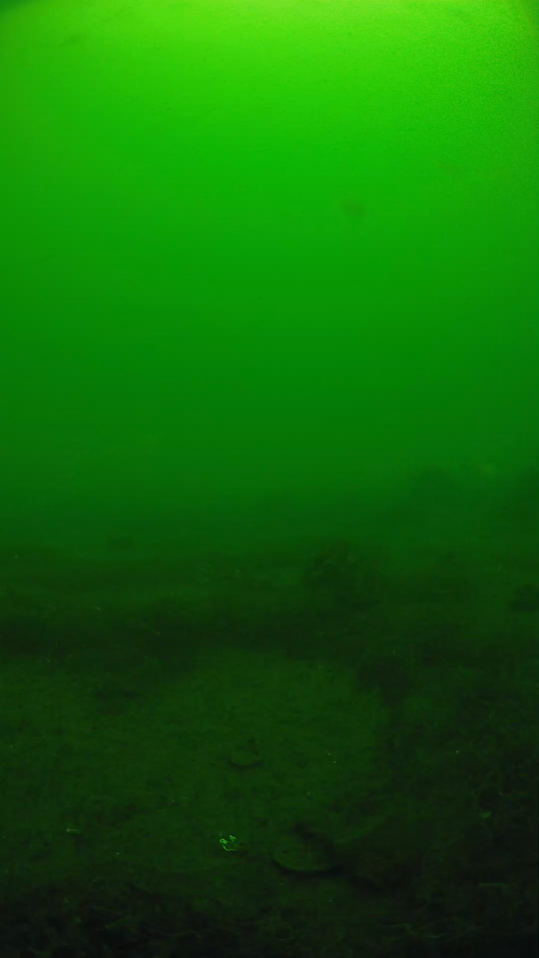 lander_ipcam_20250605103106.png
