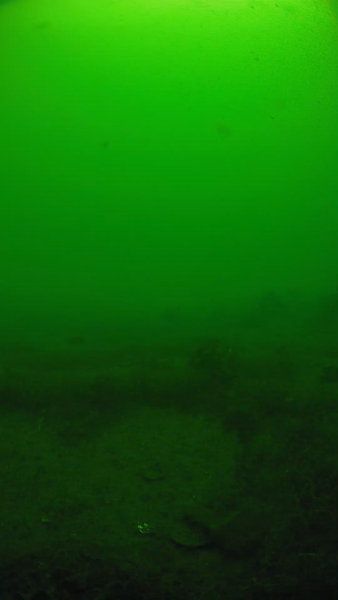 lander_ipcam_20250605103125.png