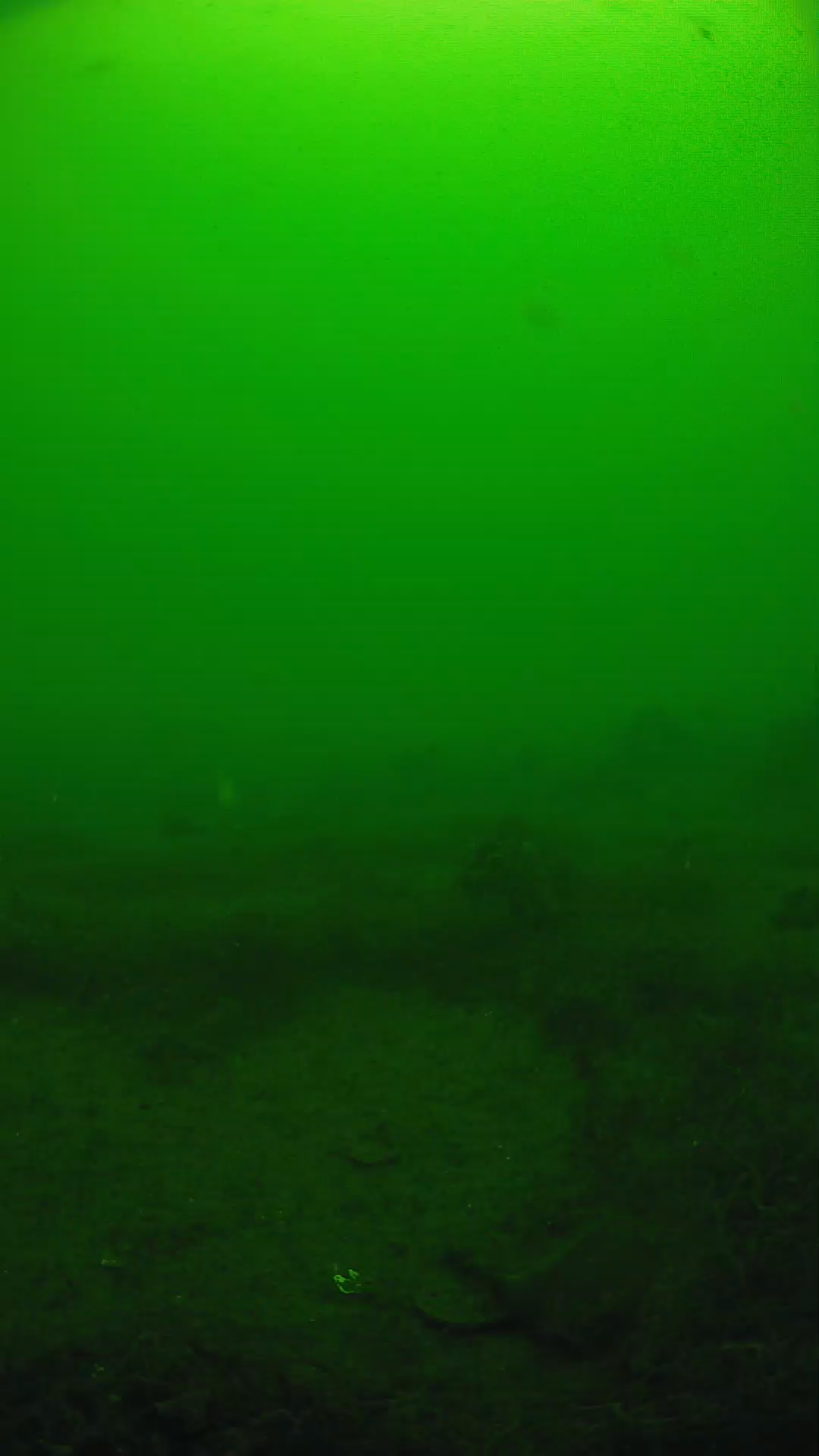 lander_ipcam_20250605103137.png