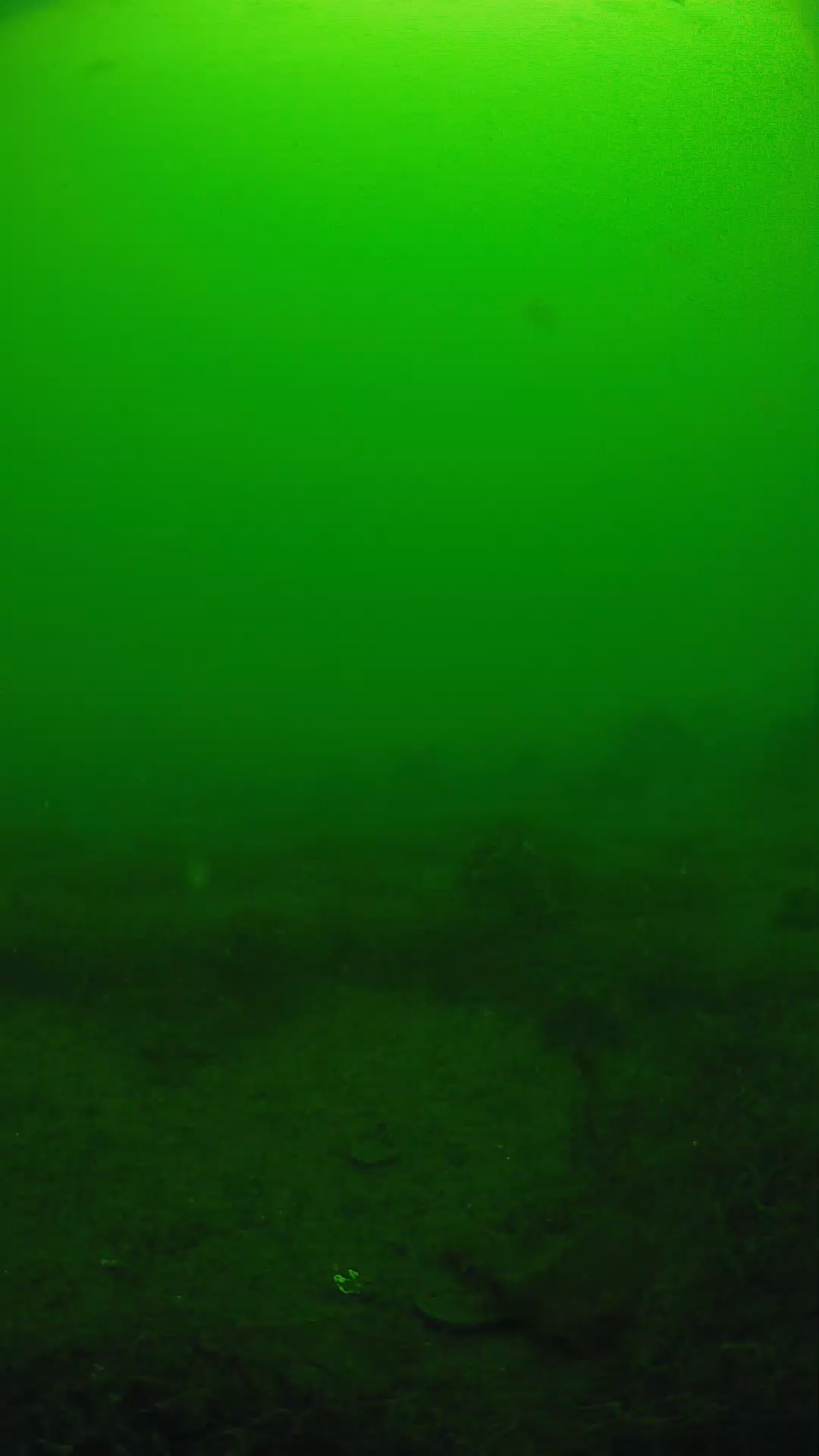 lander_ipcam_20250605103138.png