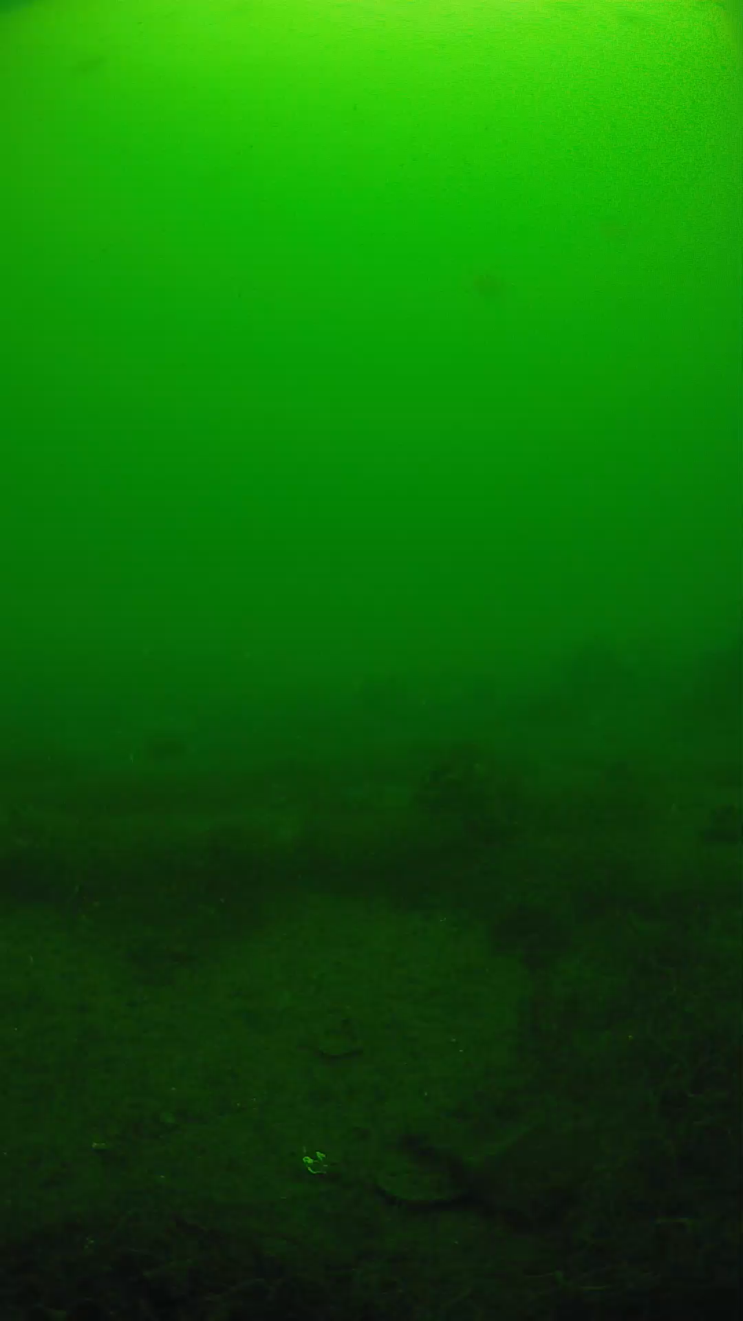 lander_ipcam_20250605103145.png