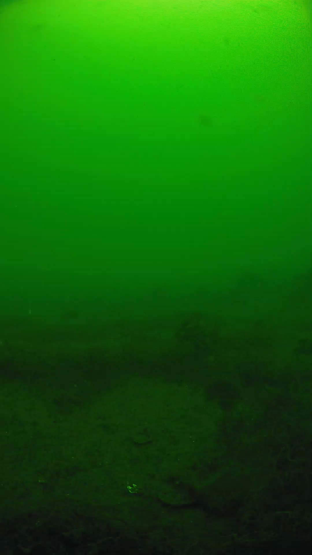 lander_ipcam_20250605103158.png