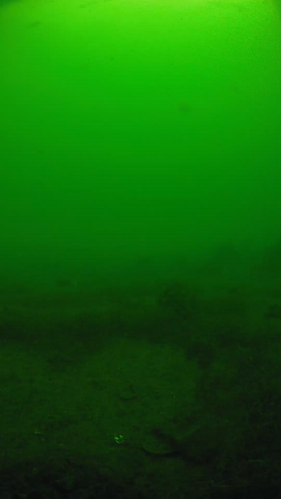lander_ipcam_20250605103202.png