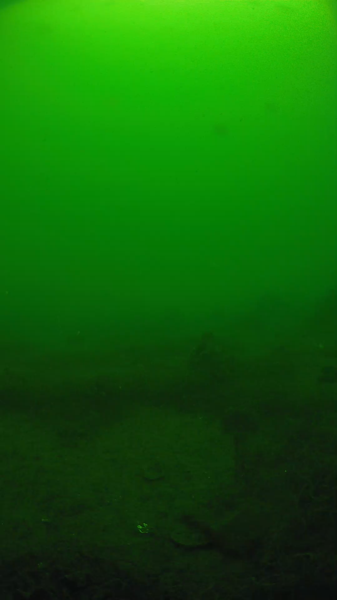 lander_ipcam_20250605104607.png
