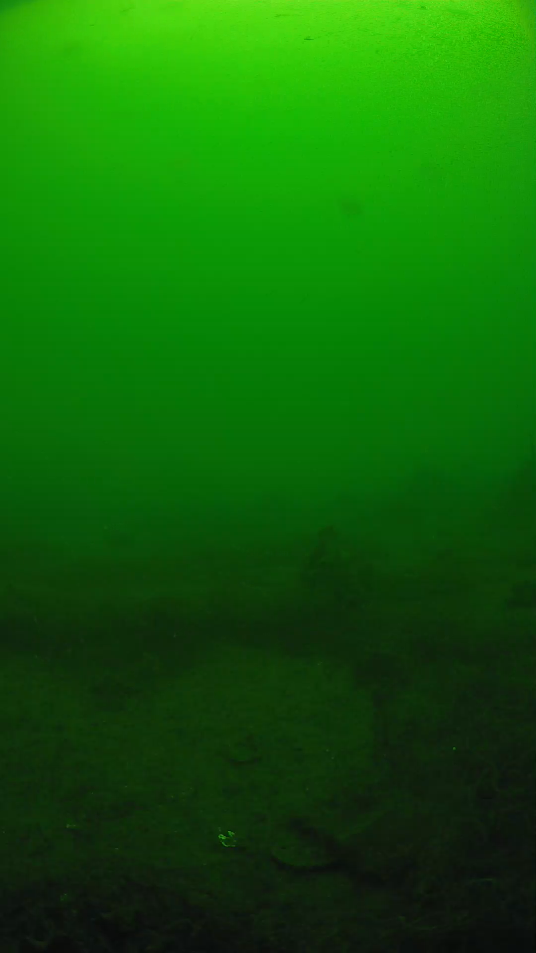 lander_ipcam_20250605104611.png