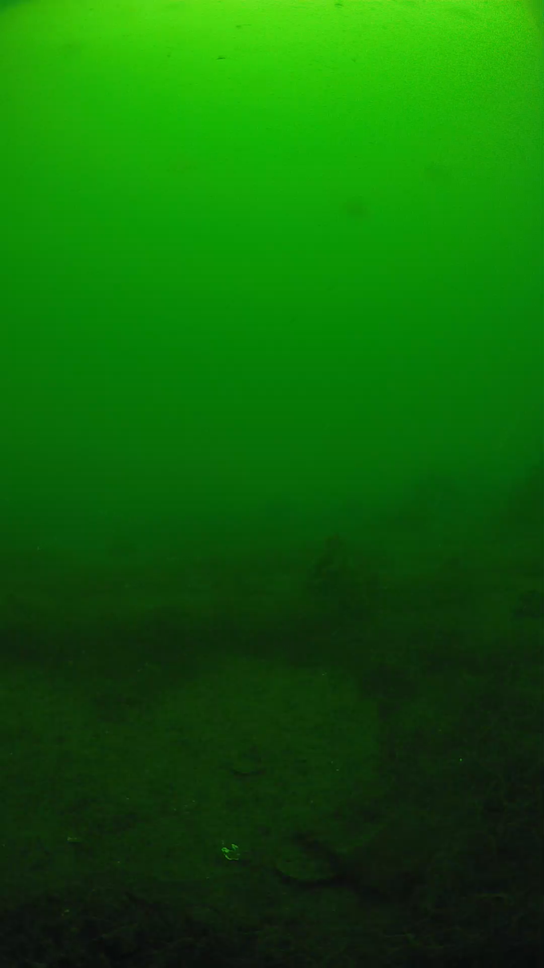 lander_ipcam_20250605104614.png
