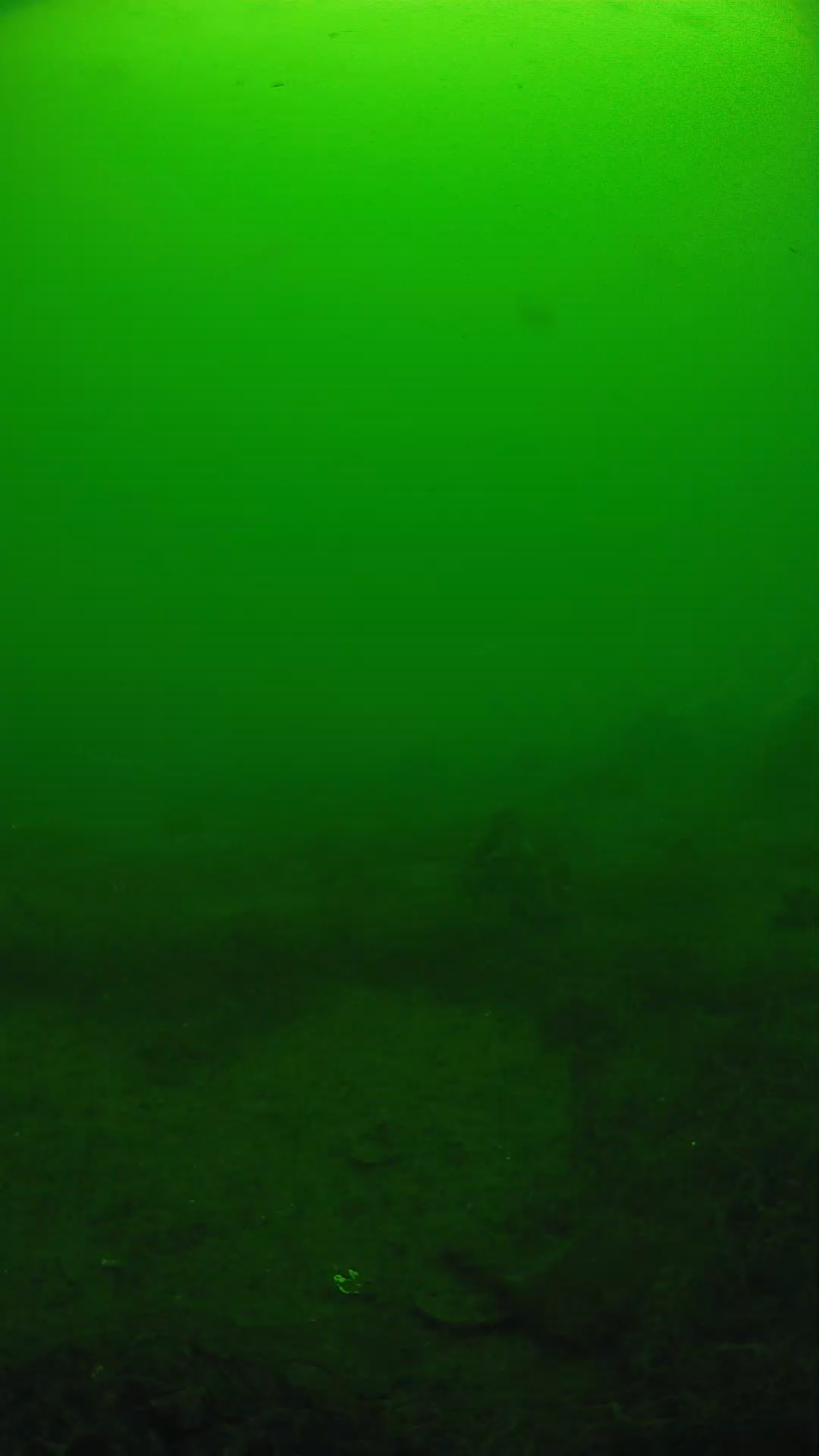 lander_ipcam_20250605104615.png