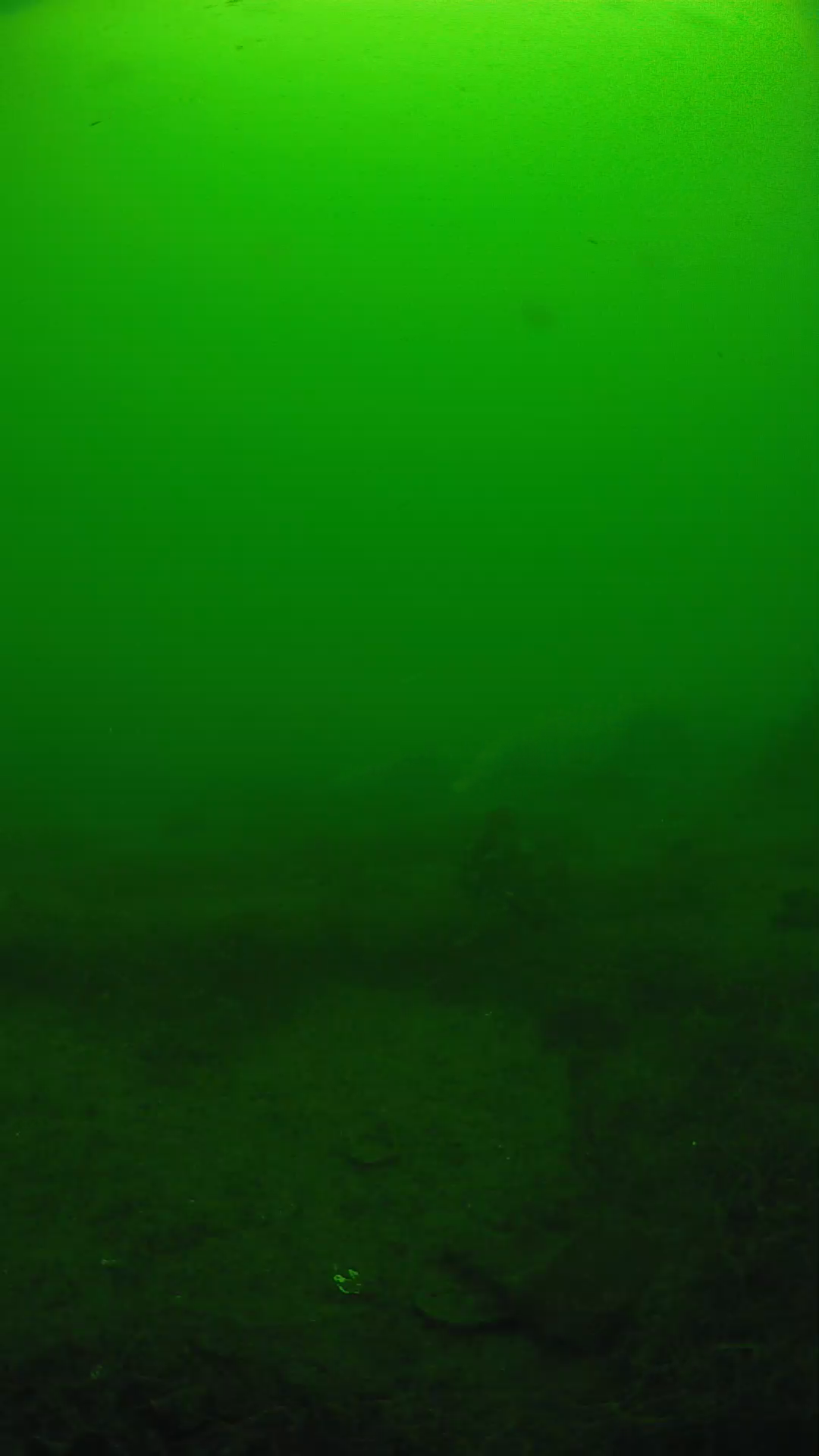 lander_ipcam_20250605104617.png