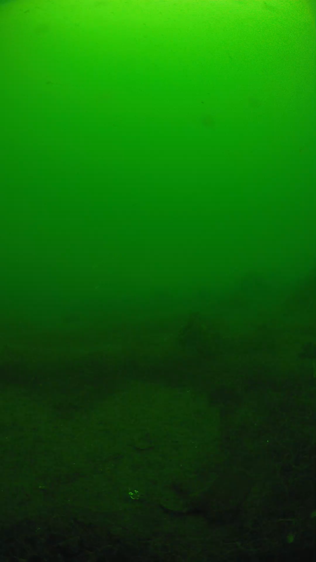 lander_ipcam_20250605104621.png