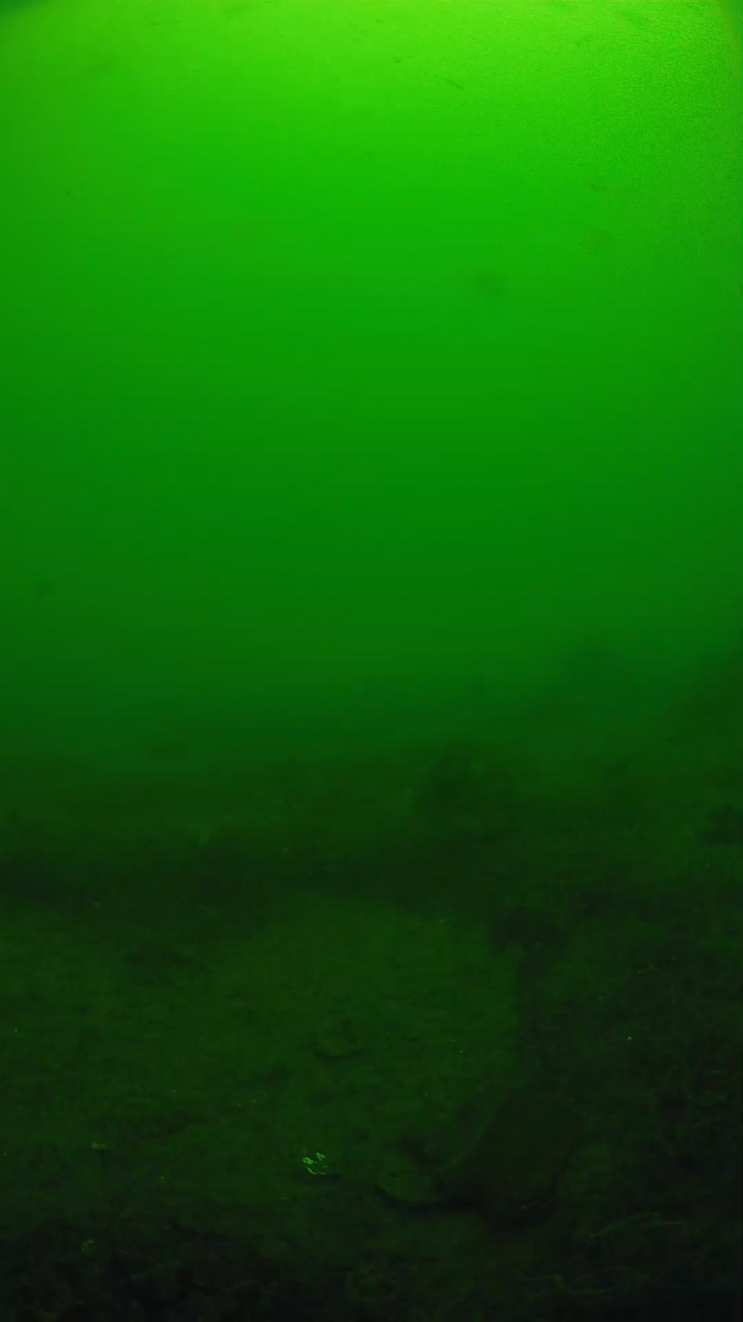 lander_ipcam_20250605104629.png