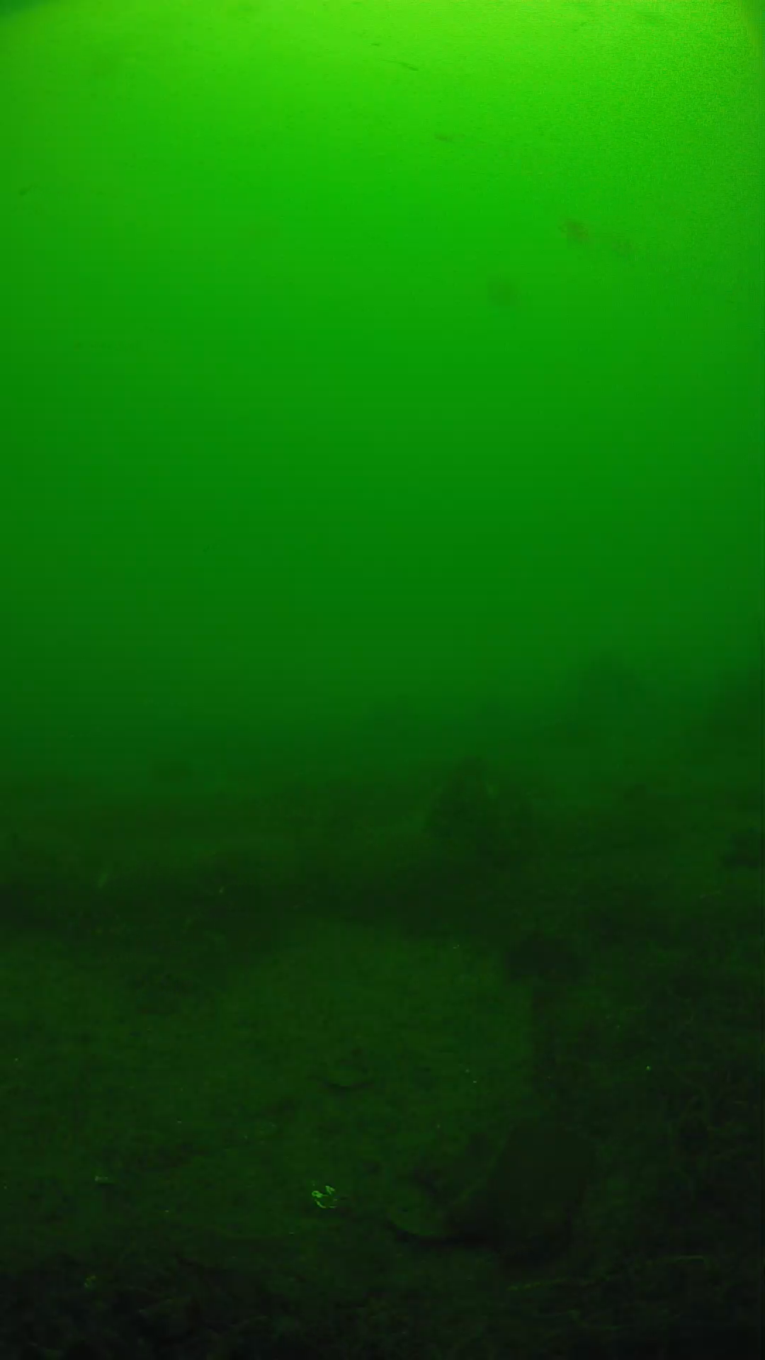 lander_ipcam_20250605104630.png