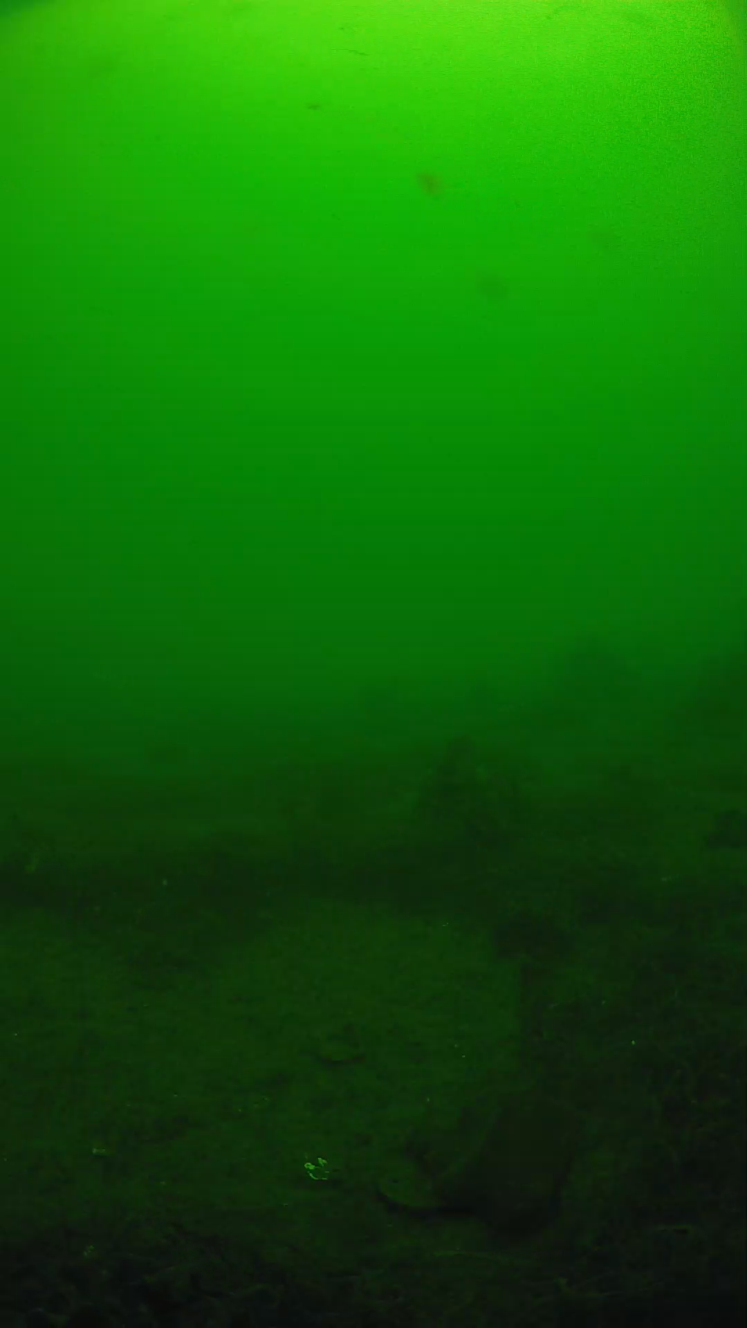 lander_ipcam_20250605104631.png