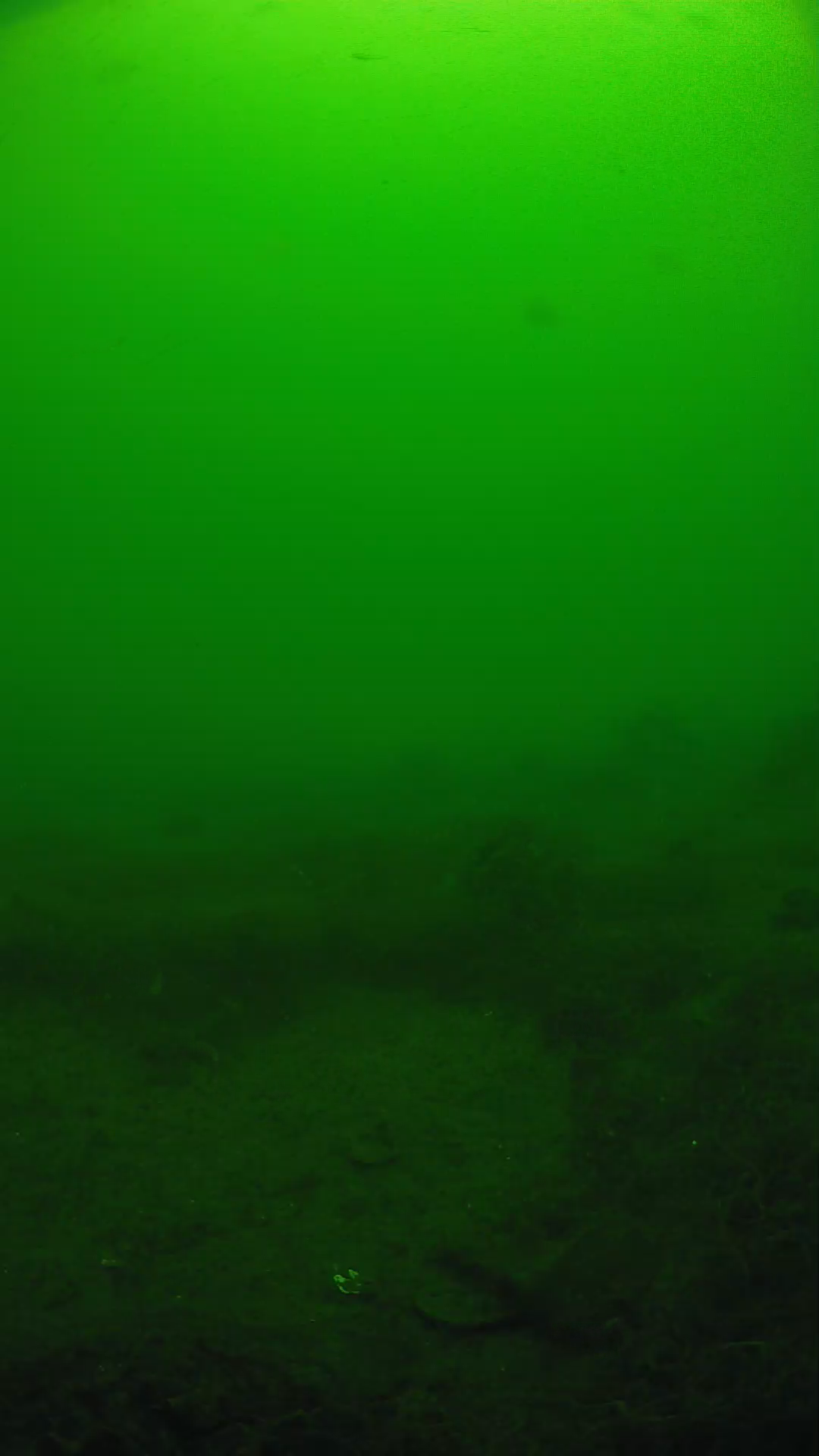 lander_ipcam_20250605104635.png