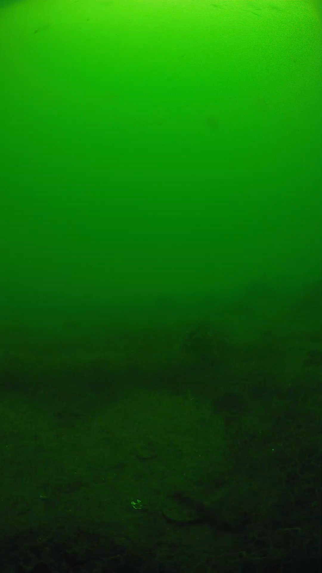 lander_ipcam_20250605104638.png