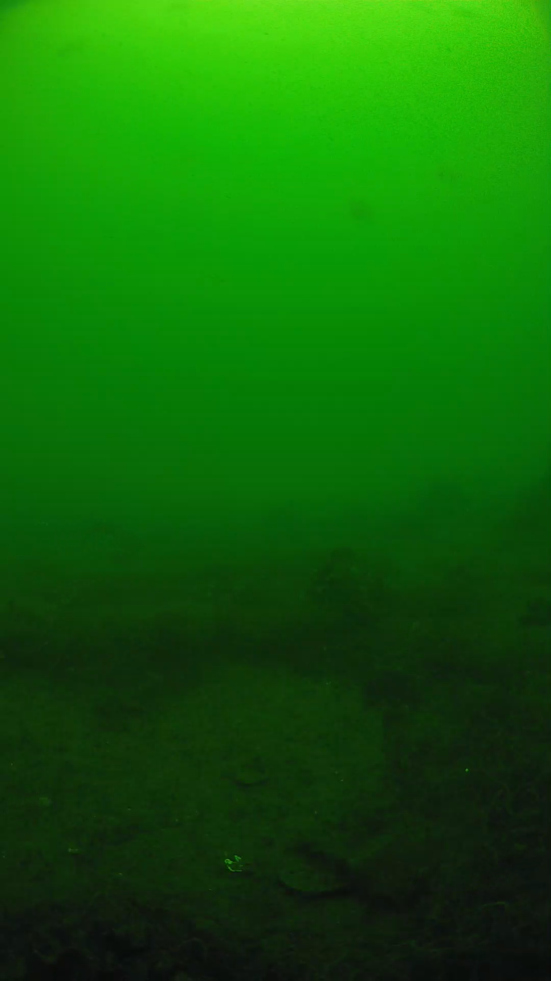 lander_ipcam_20250605104647.png