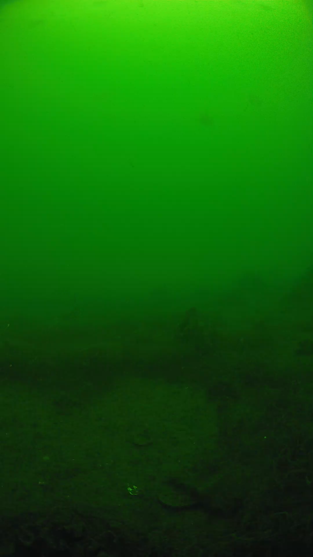lander_ipcam_20250605104648.png