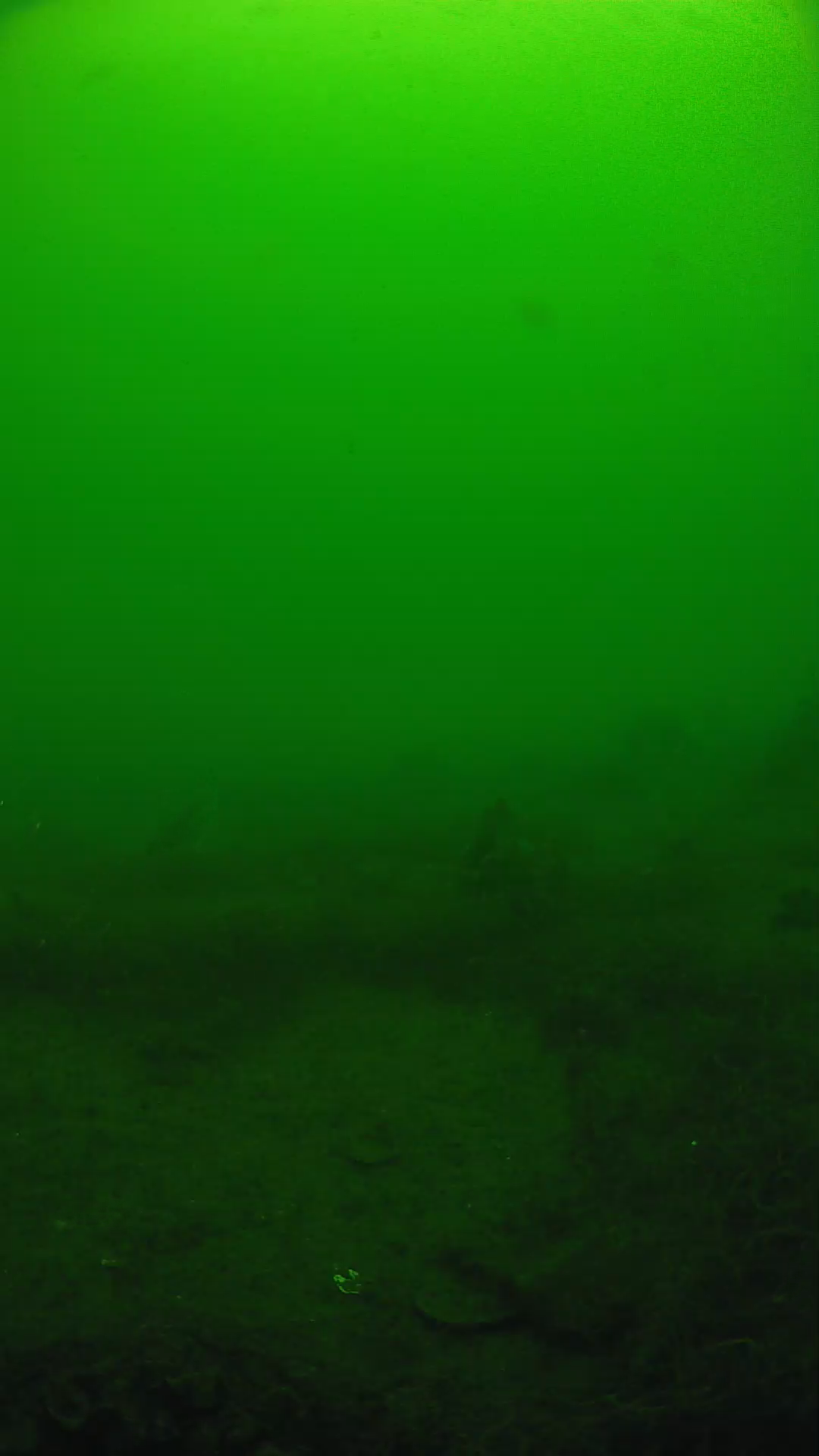 lander_ipcam_20250605104649.png