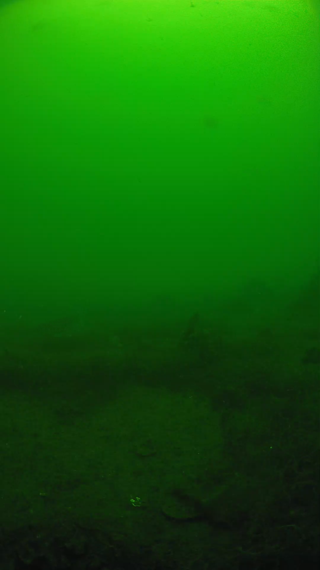 lander_ipcam_20250605104650.png