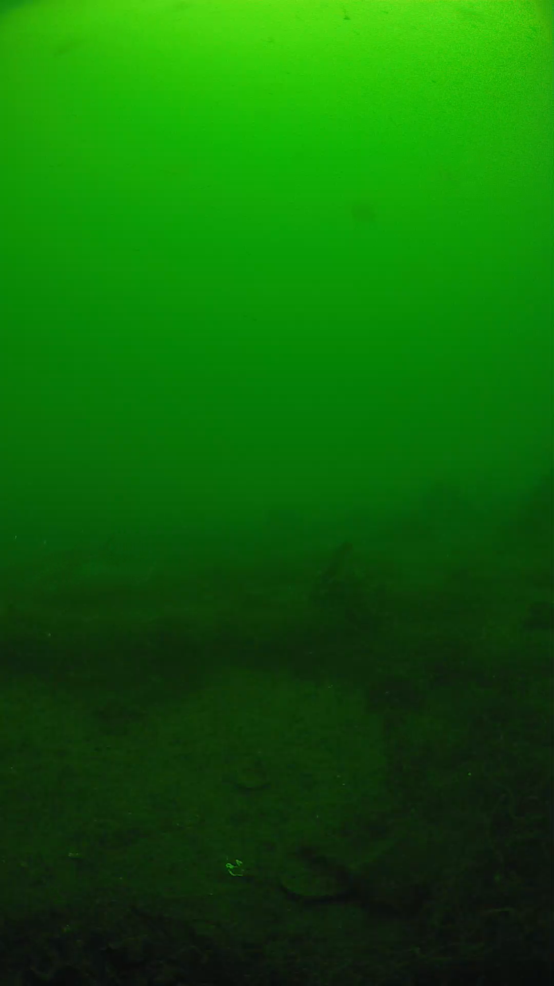 lander_ipcam_20250605104651.png