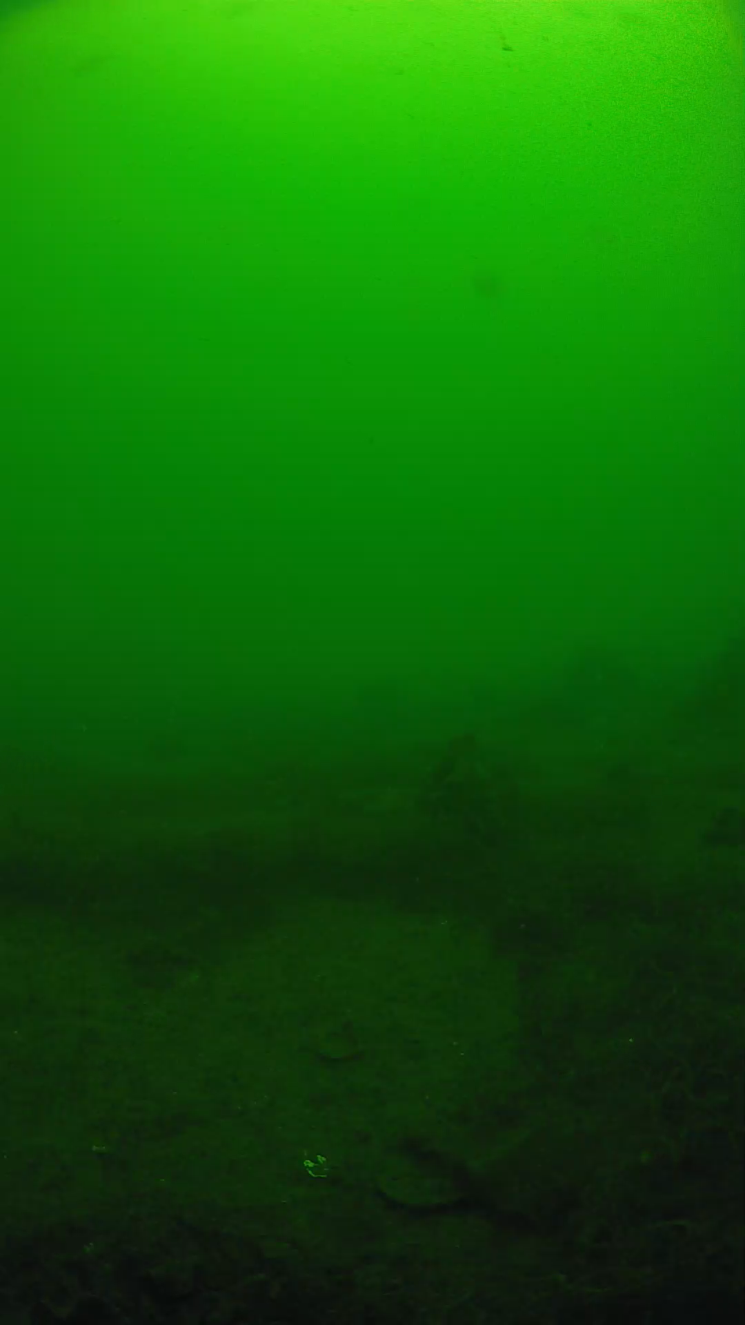 lander_ipcam_20250605104653.png