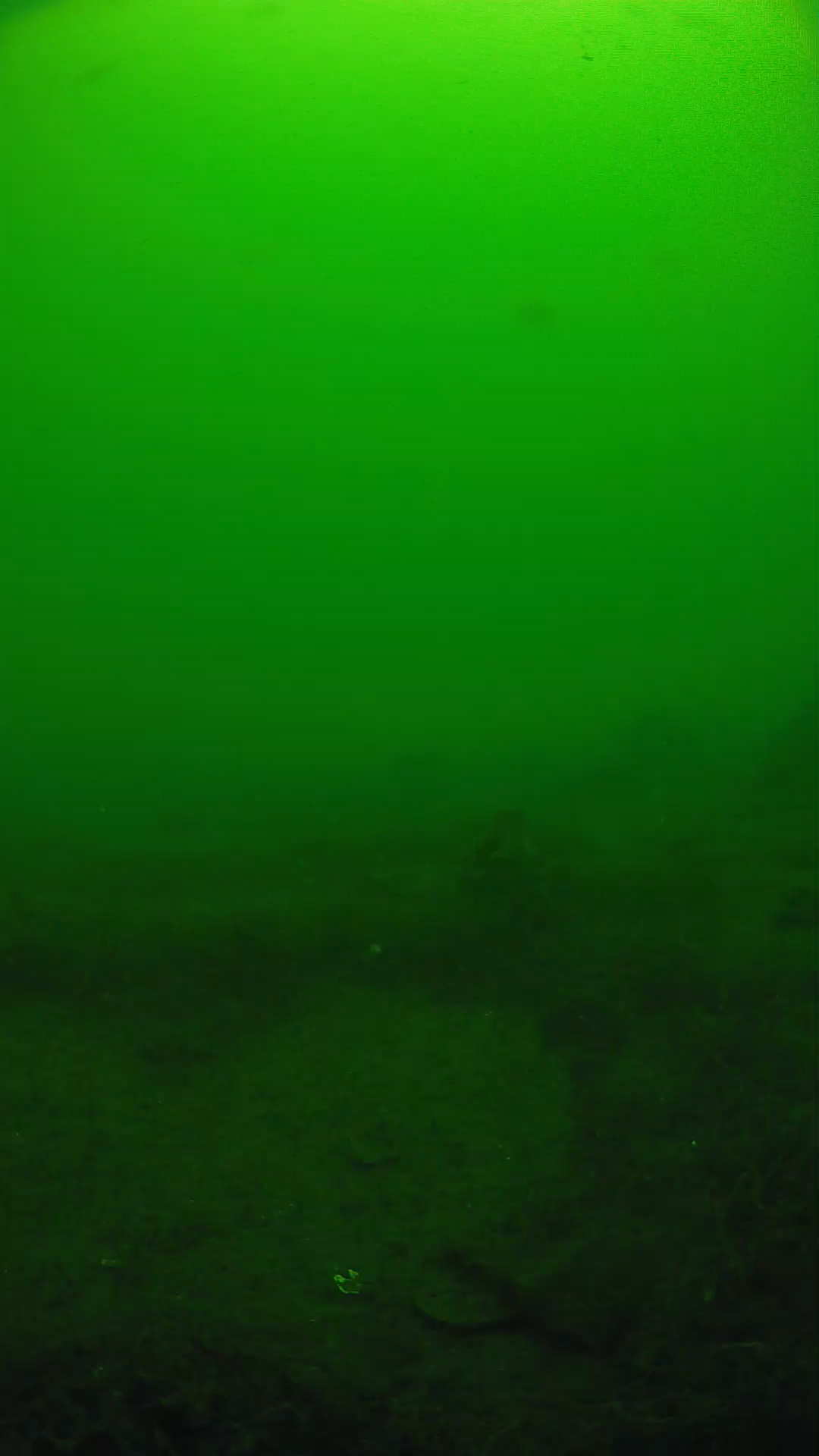 lander_ipcam_20250605104654.png
