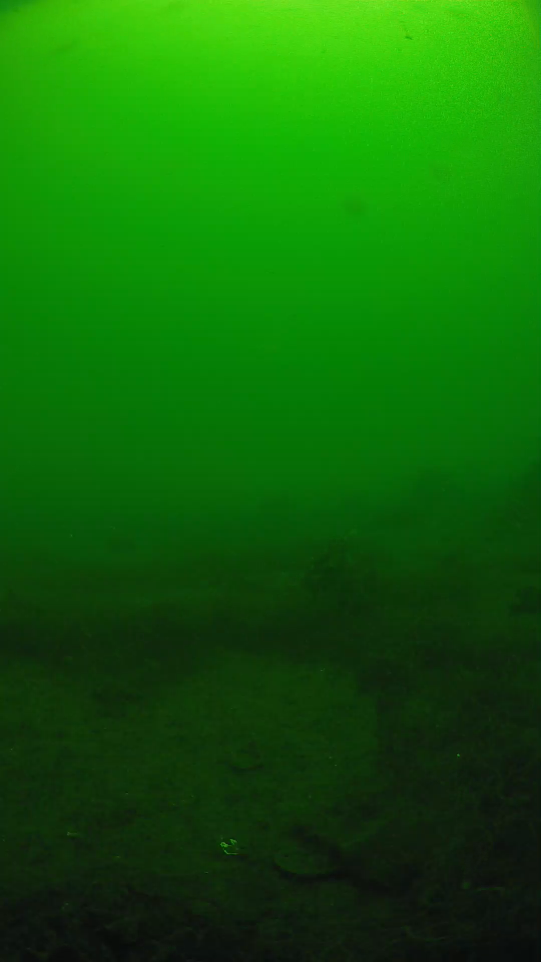 lander_ipcam_20250605104655.png