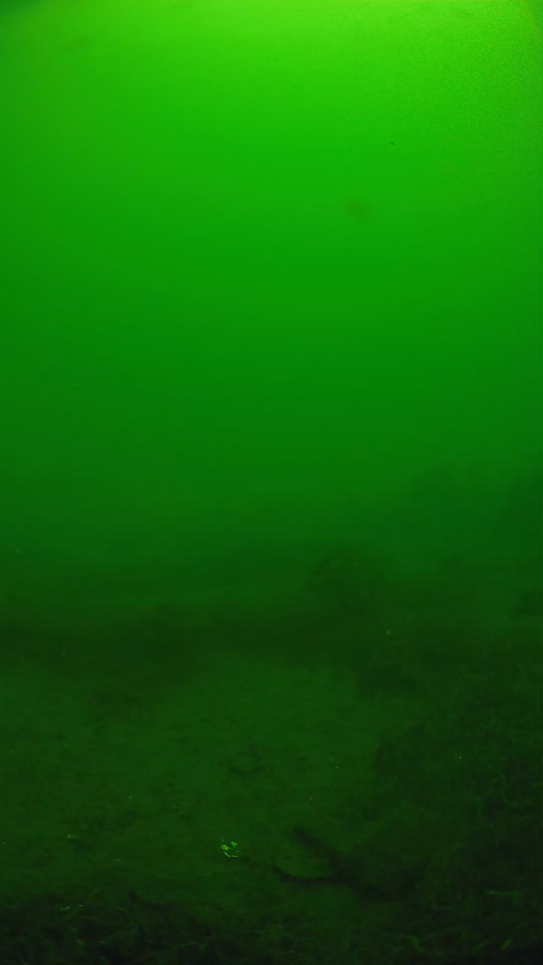 lander_ipcam_20250605110103.png