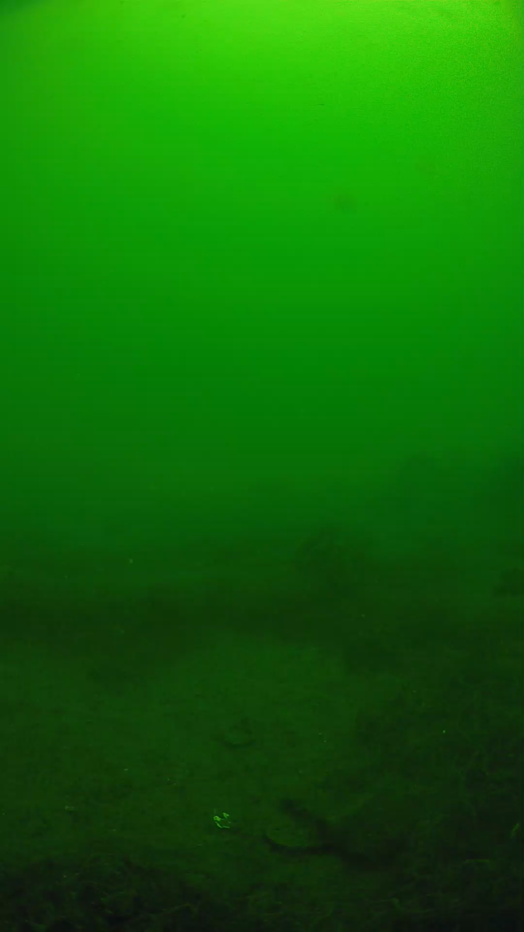lander_ipcam_20250605110107.png