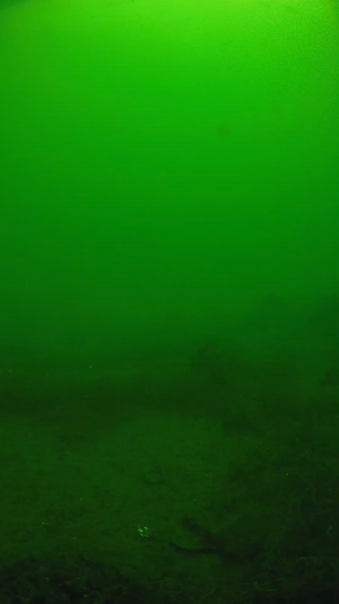 lander_ipcam_20250605110108.png