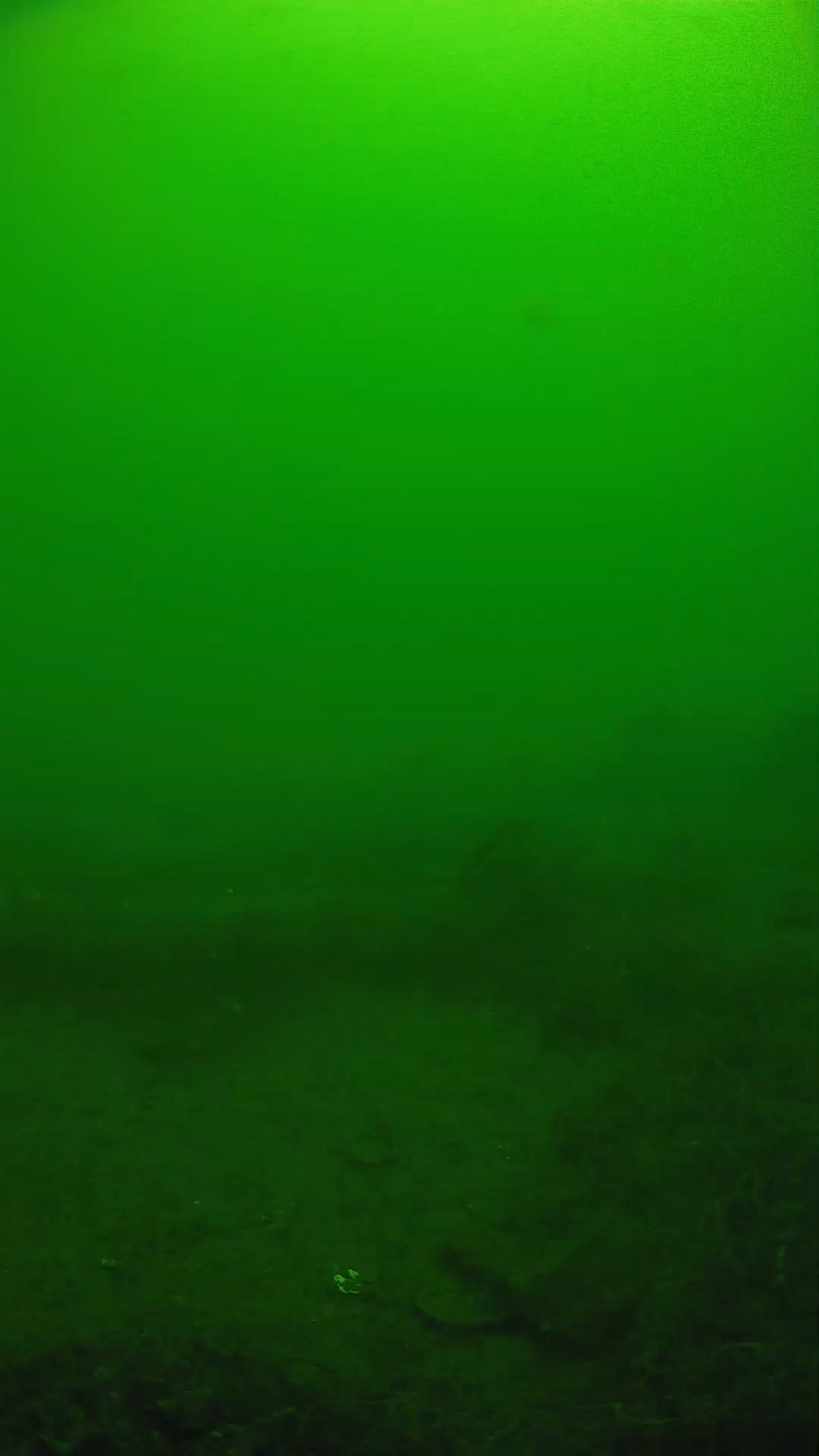 lander_ipcam_20250605110109.png