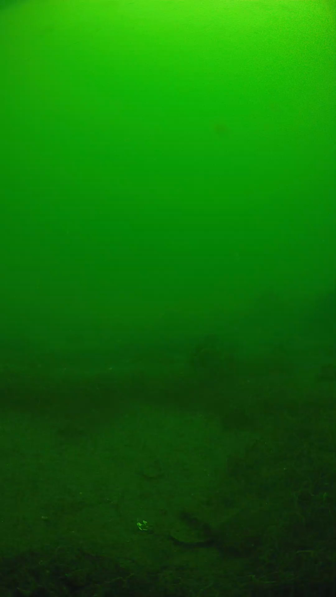 lander_ipcam_20250605110111.png
