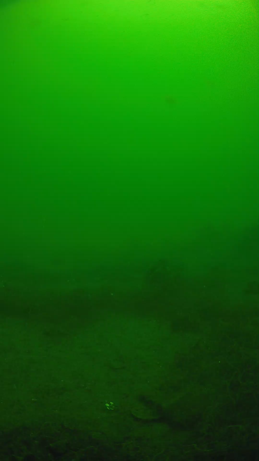lander_ipcam_20250605110115.png