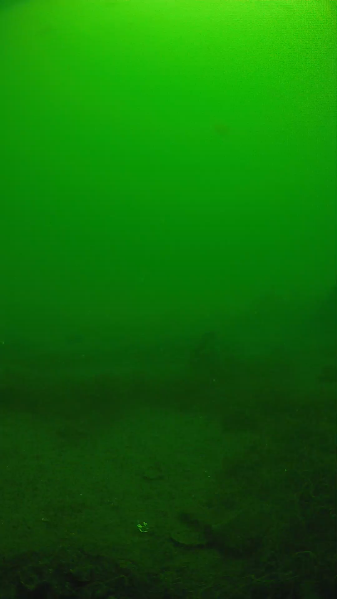 lander_ipcam_20250605110122.png
